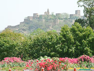 Jaipur - Fort viewed from the balacony of the hotel