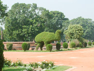 Delhi - Colonial topiary