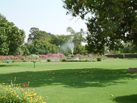 Jaipur - The hotel gardens