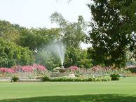 Jaipur - The hotel gardens