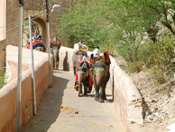 Jaipur - Travelling up to the Amber Fort in style