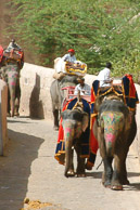 Jaipur - Travelling up to the Amber Fort in style