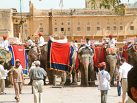 Jaipur - Amber Fort Elephants