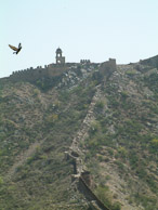 Jaipur - The Amber Fort