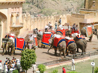 Jaipur - The Amber Fort