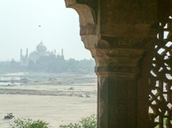 Agra - Taj Mahal viewed from the Red Fort