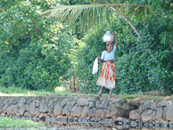 Kerala - Back water tour