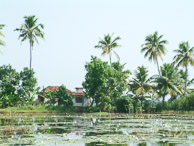 Kerala - Back water tour