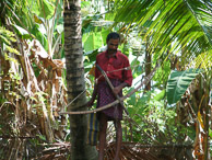 Kerala - Back water tour - Fishing with bow and arrow