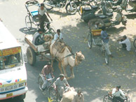 Jaipur - A taxi Indian style