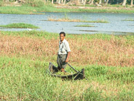 Kerala - Back water tour